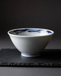 Noodle Bowl Saburo