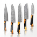 5-Piece Full Tang VG10 Damascus Knife Set with Black Resin and Wood Handle