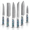 6-Piece Knife Set