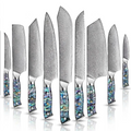 9-Piece VG10 Damascus Knife Set with Abalone Shell Handle