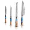 4-Piece Knife Set