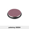 Polishing Disc 3000