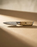 Hikari Damascus Paring Knife 8 cm