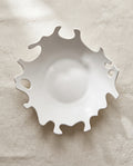 Creative Irregular Plate Oyuki