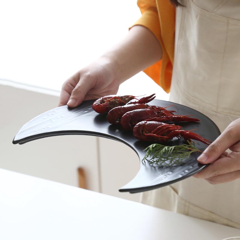 Hibiva Ceramic Sushi Plate product image